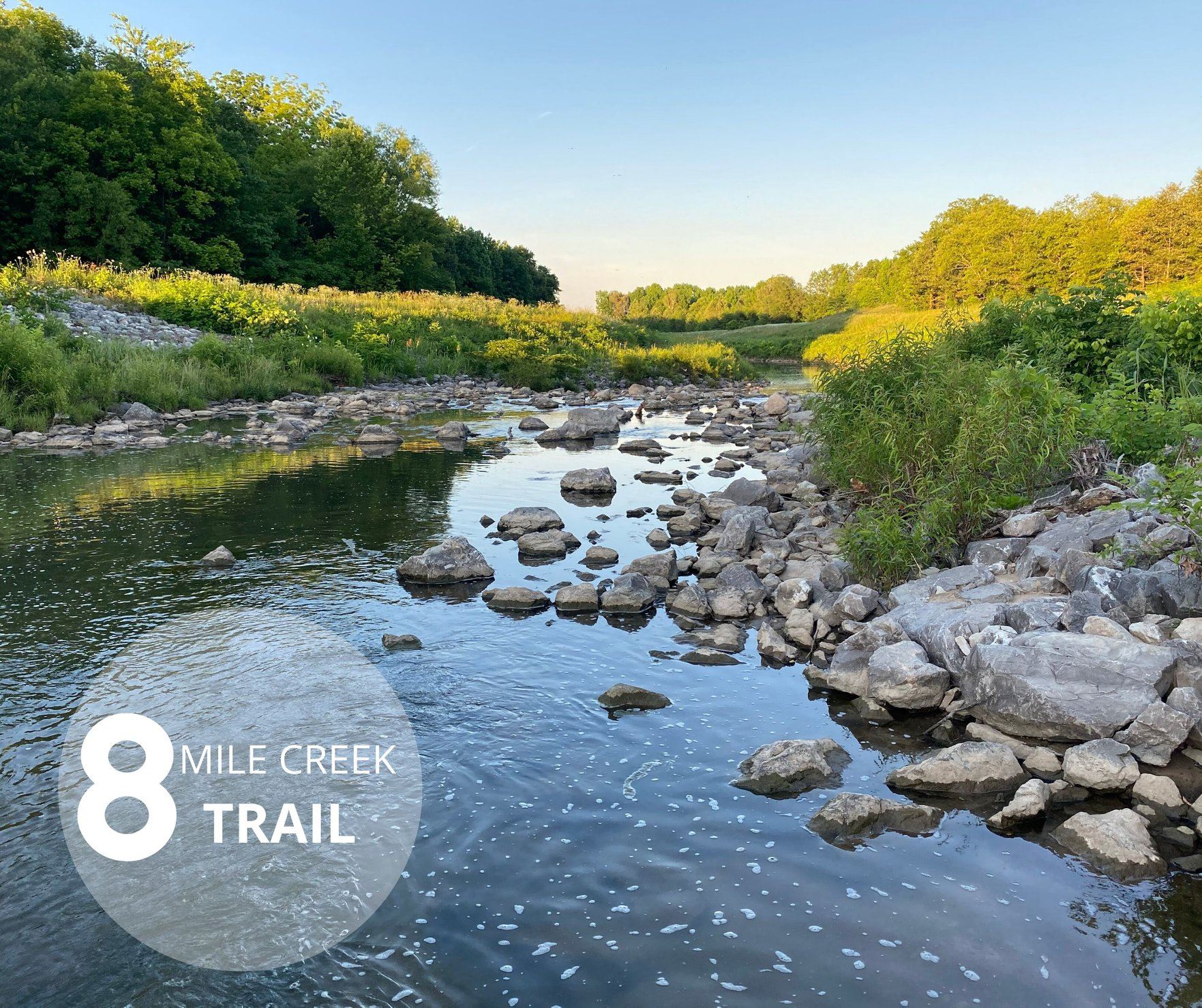 8 Mile Creek Water Photo